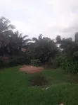 Full Plot of Land for Sale in Odumase Amanfrom - 3