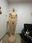 Male Mannequin - Brand New - 1