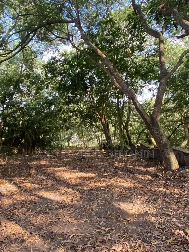 Six Plots of Land for Sale in Peduase, Aburi - 1