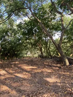 Six Plots of Land for Sale in Peduase, Aburi