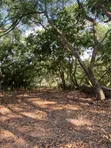 Six Plots of Land for Sale in Peduase, Aburi - 1