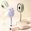 Electric 3-in-1 Spray Massage Hair Brush - 2