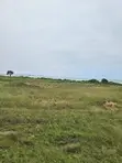 Land for Sale in Ningo Prampram - 2