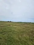 Land for Sale in Ningo Prampram - 5