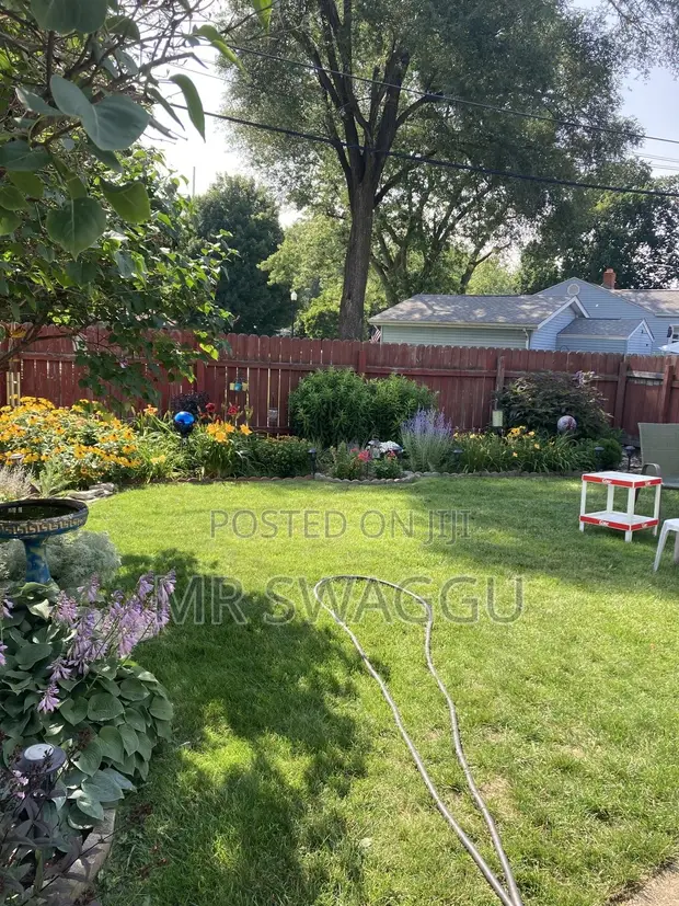 Professional Gardener - Lawn Mowing & Weeding in Tema - 1