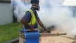 Right Spot Fumigation with Cleantex - 5