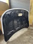 Honda Accord Hood (2018-2022) - 2