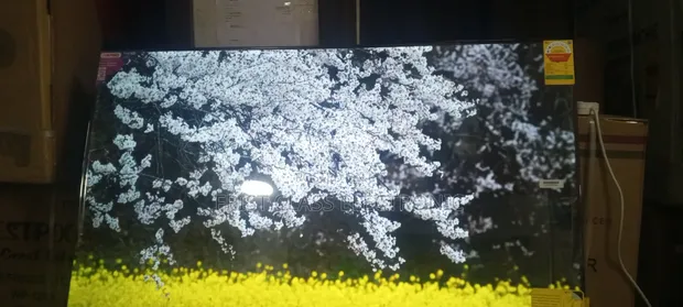 Asano 50-inch 4K Smart LED TV - Model 50DF2 - 1