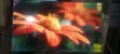 Asano 50-inch 4K Smart LED TV - Model 50DF2 - 2