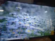 Asano 50" Smart LED TV 1080p - 1