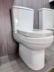 Frencia Water Closet (S & P-Trap) - 1