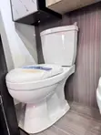 Frencia Water Closet (S & P-Trap) - 3