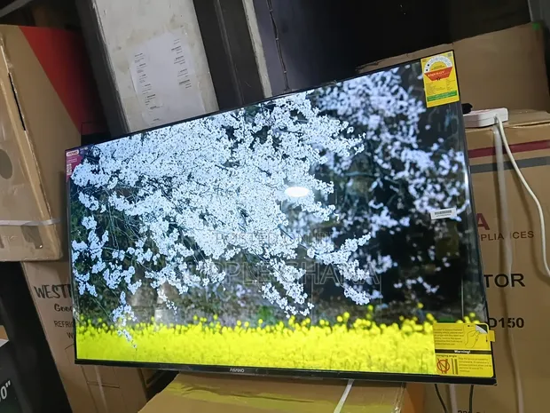 Asano 55-Inch Smart TV - 1