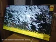 Asano 50" Smart LED TV with Wi-Fi & Bluetooth - 2