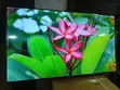 Asano 50" Ultra-Modern Smart TV - 2