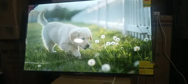 Asano 50-inch Smart TV - 1