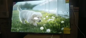 Asano 50-inch Smart TV
