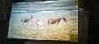 Asano 50-inch Smart TV - 2