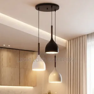 ZSZY-6755 3-in-1 Hanging Light