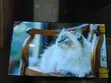 Asano 50" Smart TV (Model 50DF2) - 1