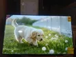 Asano 50" Smart TV (Model 50DF2) - 2