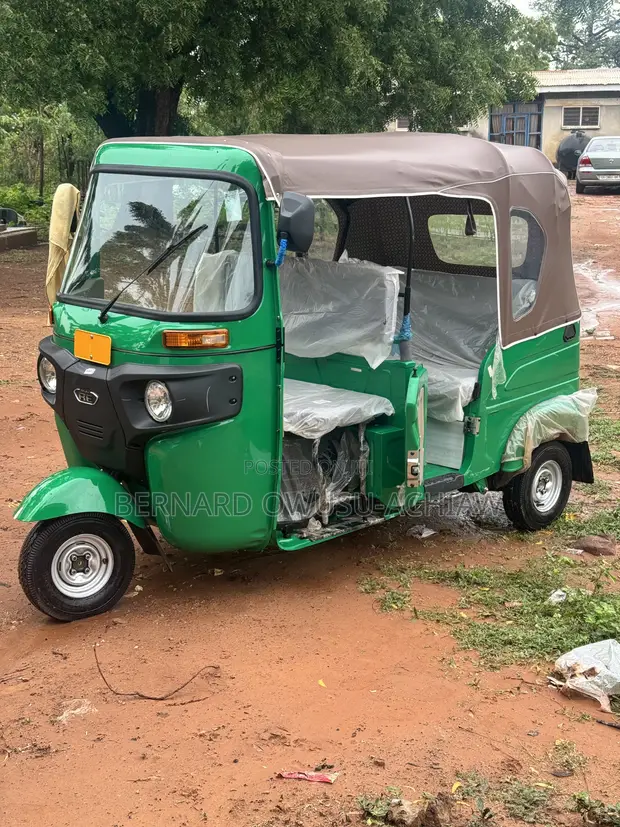 Bajaj RE 2025 Green Three-Wheeler - 1