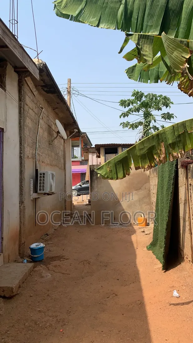 Commercial Property for Sale in Sowutuom - Santa Maria Environs - 1