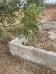 Registered Land for Sale at Oyibi, Sasaabi - 4