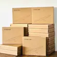 Starlink Mini (1 Month Free) - 1