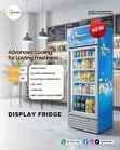 329L Goldstar Display Fridge - 2