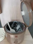 Midea 1L Rice Cooker - 1