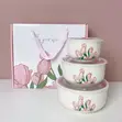 Brand New 3-in-1 Food Storage Bowls - 2