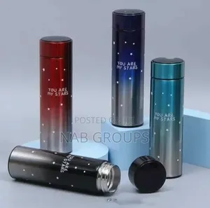 LED Display Thermo Flask 500ml
