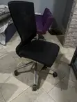 YORK Office Chairs (Used) - 5