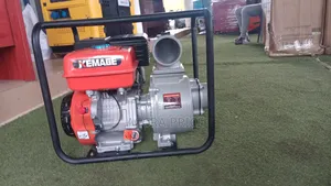 Gasoline Water Pump - Heavy Duty, 650W