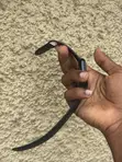 Apple Watch Series 8 GPS + LTE 45mm - 1