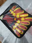 Ruike Insulated 1000V Screwdriver Set with Case - 1