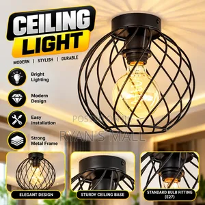 Modern Stylish Durable Ceiling Light