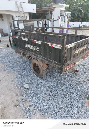 Apsonic AP150-200 2024 Green Three-Wheeler