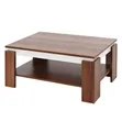Modern Luxury Double-Layer Coffee Table - 4