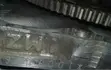 1997-2003 Toyota Solara, Camry, Lexus, Highlander 1MZ Engine - 3