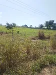 5 Acres Industrial Land for Sale - Offinso-Techiman Highway - 1