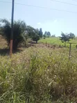 5 Acres Industrial Land for Sale - Offinso-Techiman Highway - 3