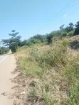 5 Acres Industrial Land for Sale - Offinso-Techiman Highway - 4