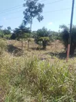 5 Acres Industrial Land for Sale - Offinso-Techiman Highway - 5