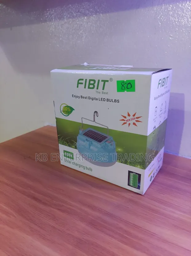 FIBIT 60W Solar Charging LED Bulb - 1