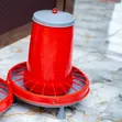 Compacta 22kg Poultry Feeder - 4