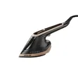 Green Lion 2-in-1 Steam Iron Garment Steamer - BX300 - 1