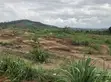 Pokuase Dedeiman Registered Lands for Sale - 5