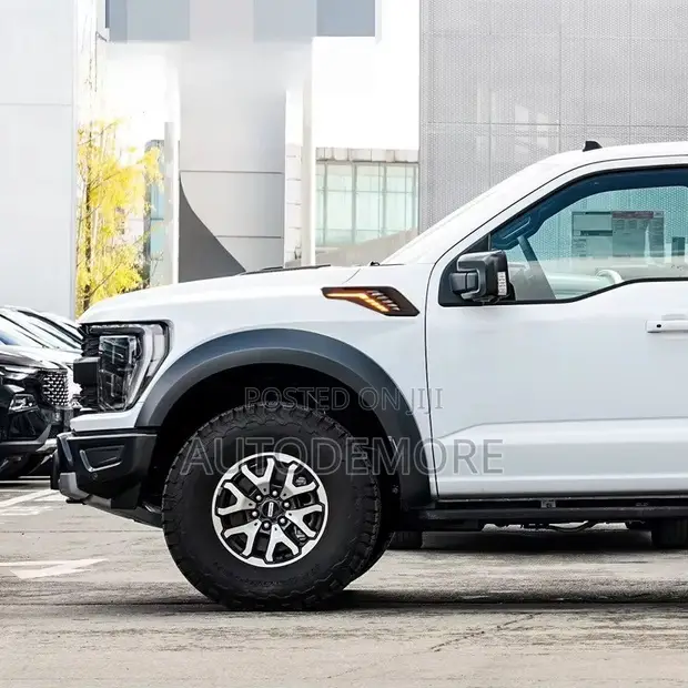 Ford F-150 Raptor 2022 Fender Molding (LED Type) - 1